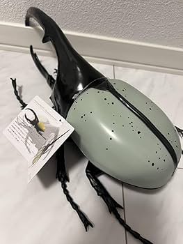 Amazon.co.jp: Hercules Beetle MEGA Figure, Insect Beetle, Hercules